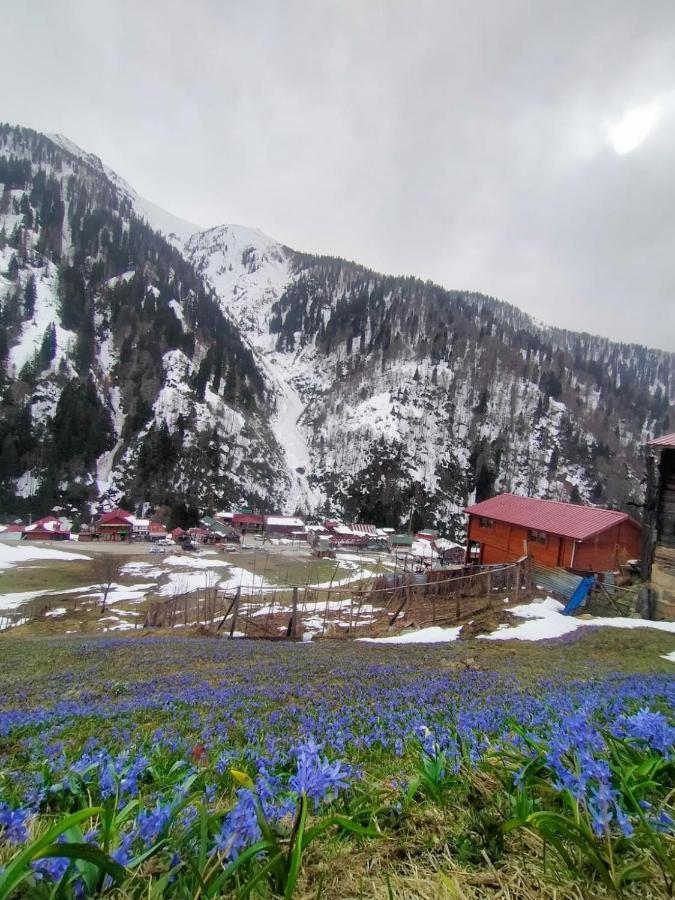 Ayder Yardimci Apart Bagian luar foto