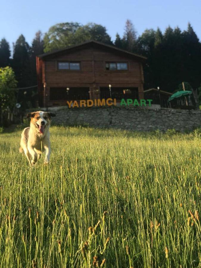 Ayder Yardimci Apart Bagian luar foto