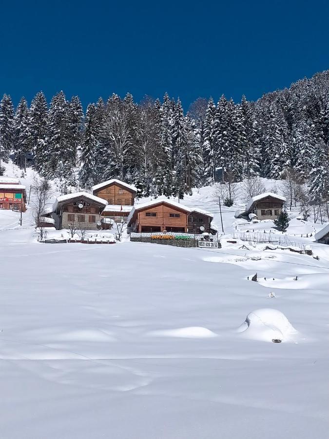 Ayder Yardimci Apart Bagian luar foto